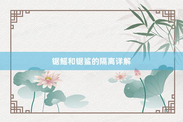 锯鳐和锯鲨的隔离详解