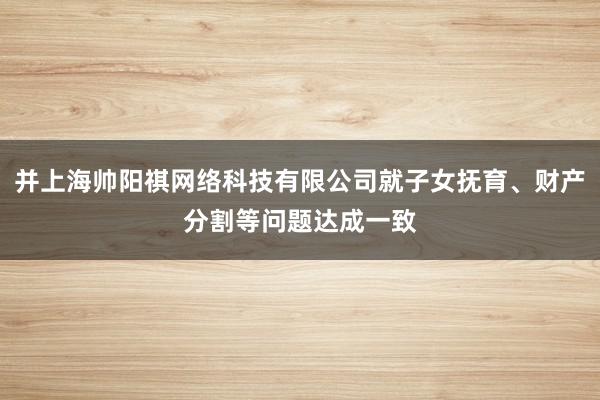 并上海帅阳祺网络科技有限公司就子女抚育、财产分割等问题达成一致