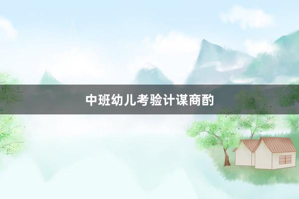 中班幼儿考验计谋商酌