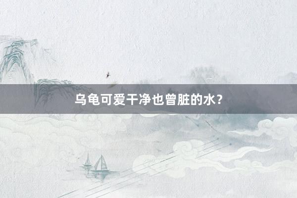 乌龟可爱干净也曾脏的水？