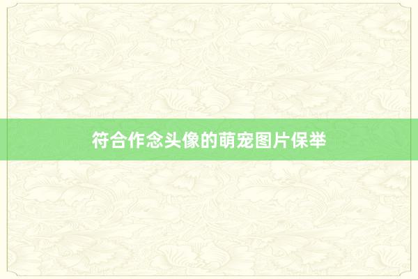 符合作念头像的萌宠图片保举